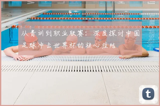 从青训到职业联赛：深度探讨中国足球冲击世界杯的核心症结