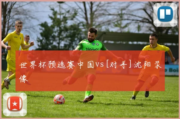 世界杯预选赛中国vs[对手]沈阳录像