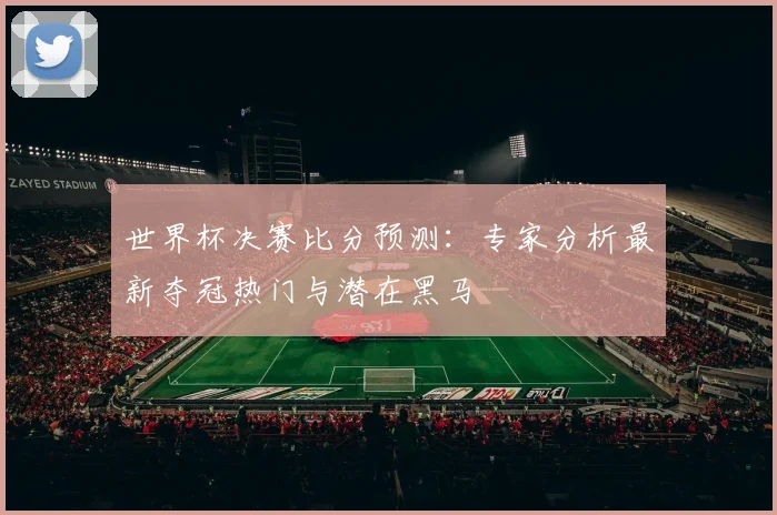 世界杯决赛比分预测：专家分析最新夺冠热门与潜在黑马