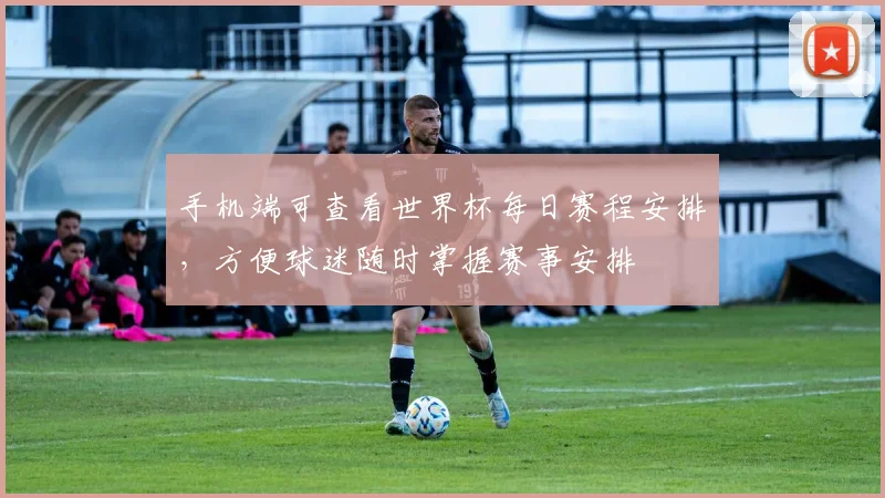 手机端可查看世界杯每日赛程安排，方便球迷随时掌握赛事安排