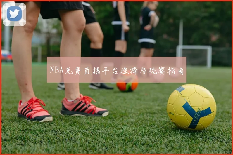 NBA免费直播平台选择与观赛指南