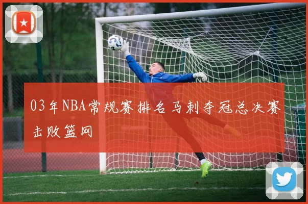 03年NBA常规赛排名马刺夺冠总决赛击败篮网