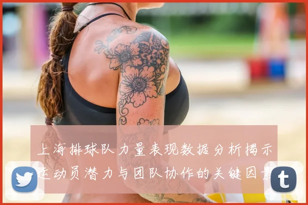 上海排球队力量表现数据分析揭示运动员潜力与团队协作的关键因素