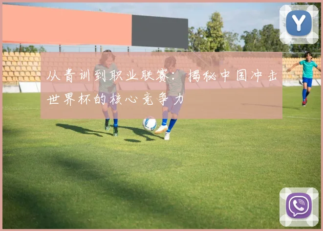 从青训到职业联赛：揭秘中国冲击世界杯的核心竞争力