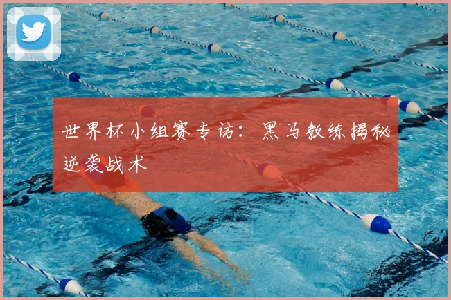 世界杯小组赛专访：黑马教练揭秘逆袭战术