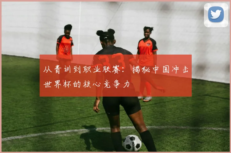 从青训到职业联赛：揭秘中国冲击世界杯的核心竞争力
