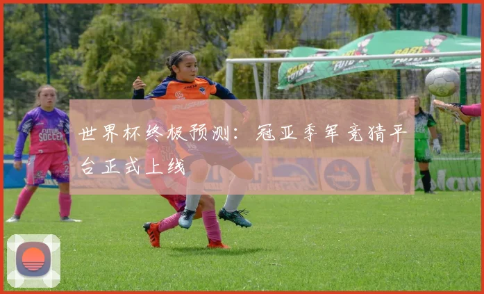 世界杯终极预测：冠亚季军竞猜平台正式上线