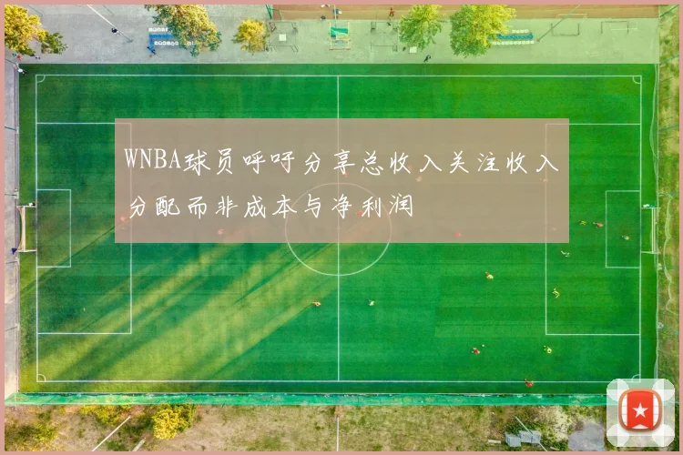 WNBA球员呼吁分享总收入关注收入分配而非成本与净利润