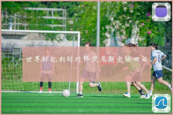 世界杯比利时对阵突尼斯全场回放
