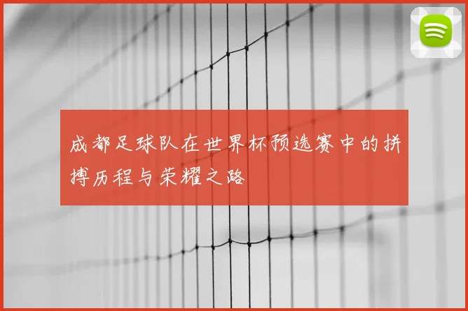 成都足球队在世界杯预选赛中的拼搏历程与荣耀之路