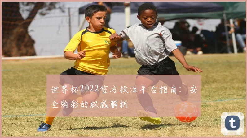 世界杯2022官方投注平台指南：安全购彩的权威解析